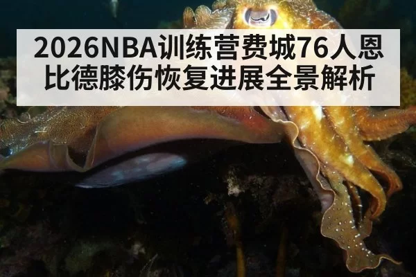 2026NBA训练营费城76人恩比德膝伤恢复进展全景解析
